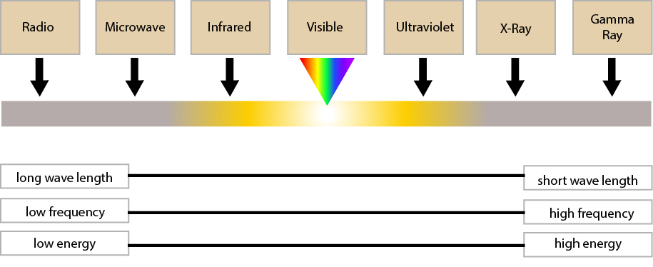 Light Diagram.jpg