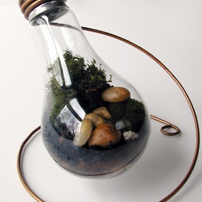 Light-Bulb-Terrarium- (2).jpg