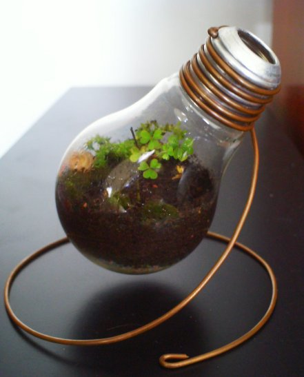 Light-Bulb-Terrarium- (2).png