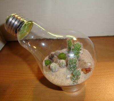 Light-Bulb-Terrarium- (4).jpg