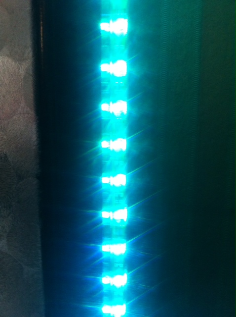 Lights 1.JPG
