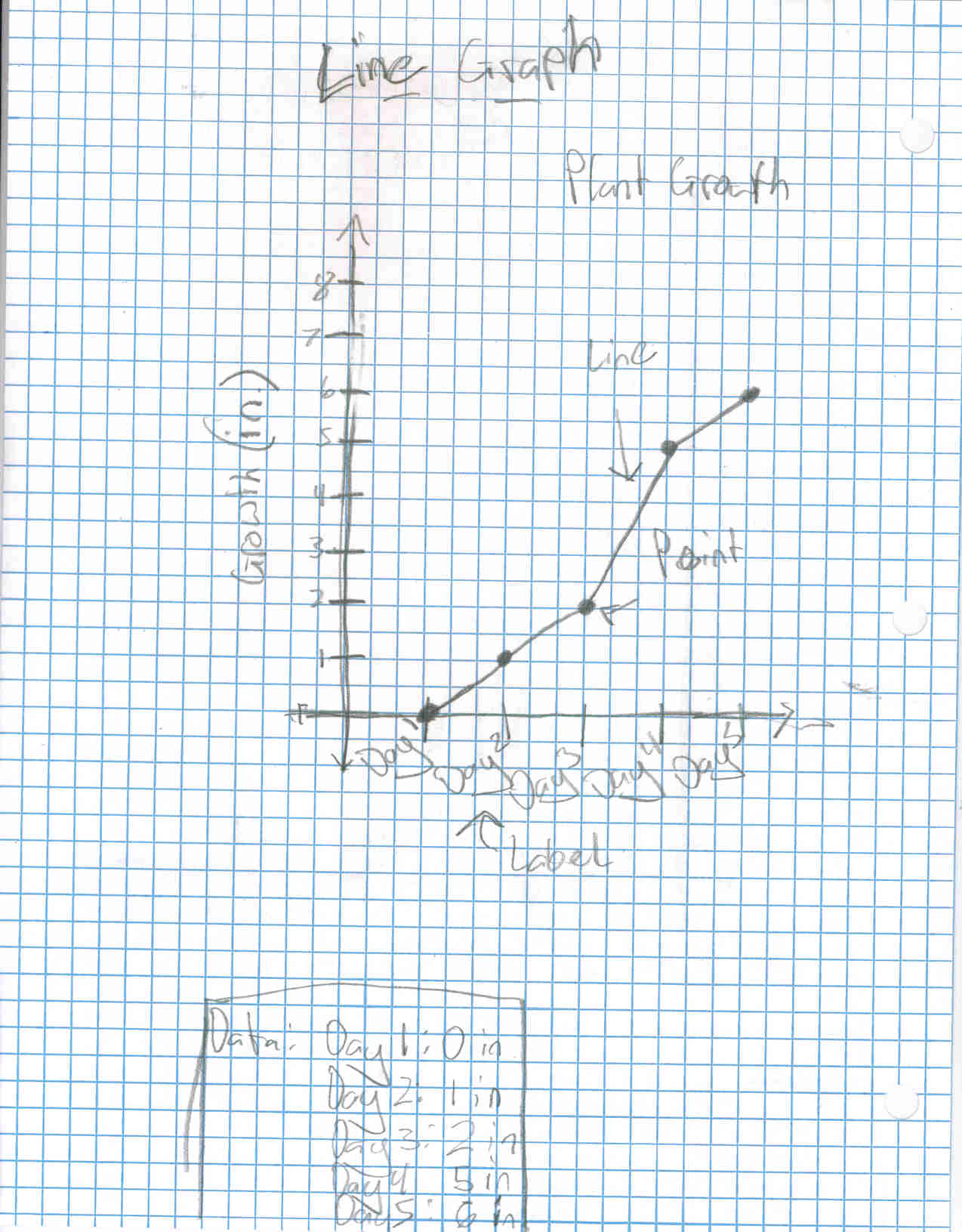 Line Graph.jpg