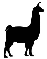 Llama_s.jpg