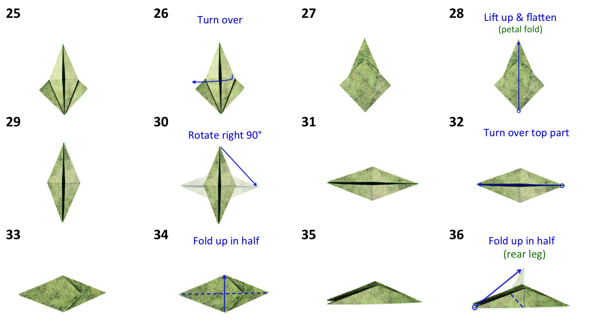 Lucasplayhouse_Origami Dinosaur 1-3.jpg