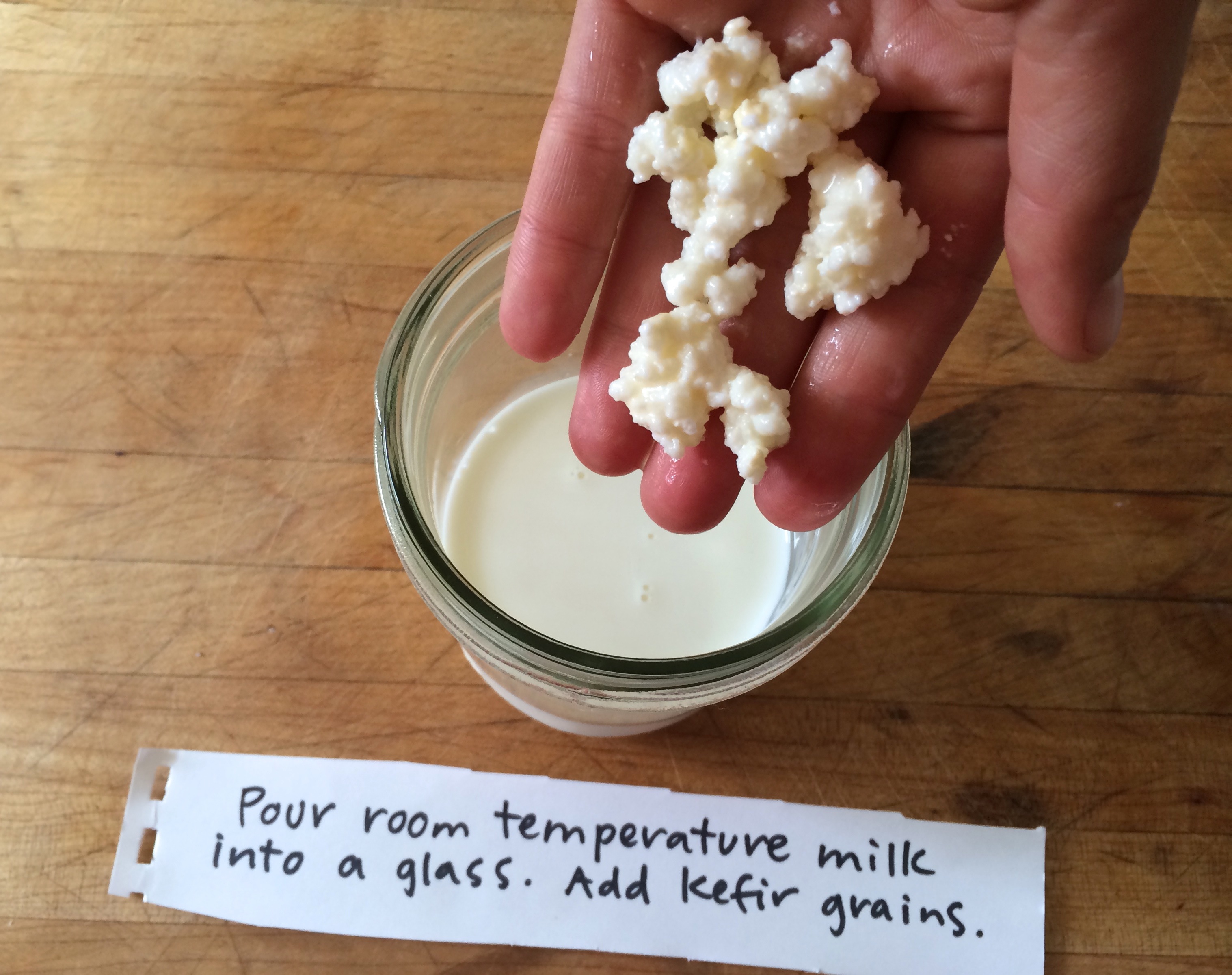 MM Instruct Kefir Grains in.jpg