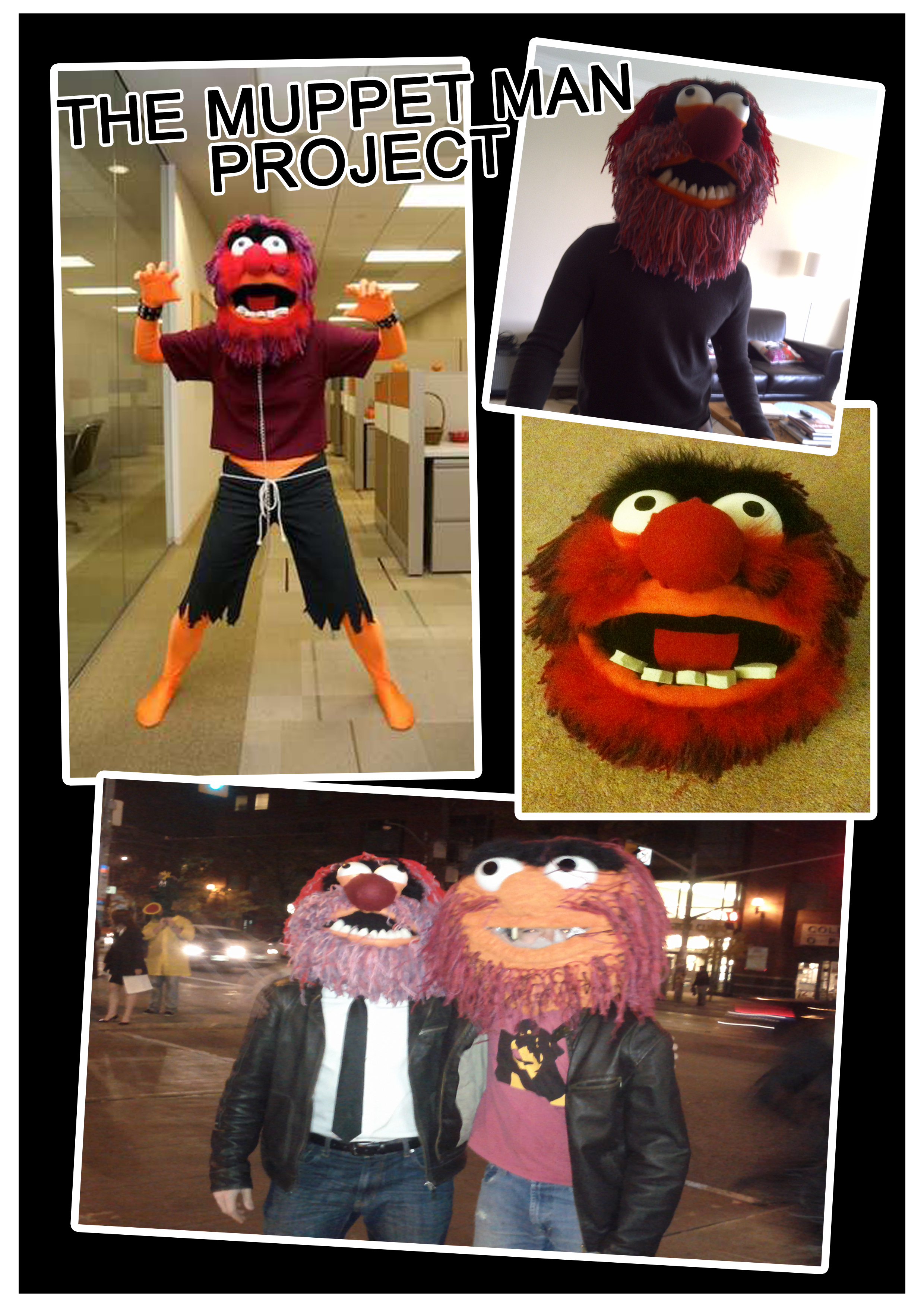 MUPPET HEAD PICS.jpg