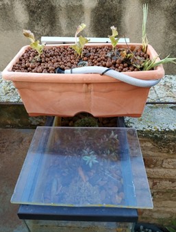 Maceta acuap&oacute;nica solar.jpg