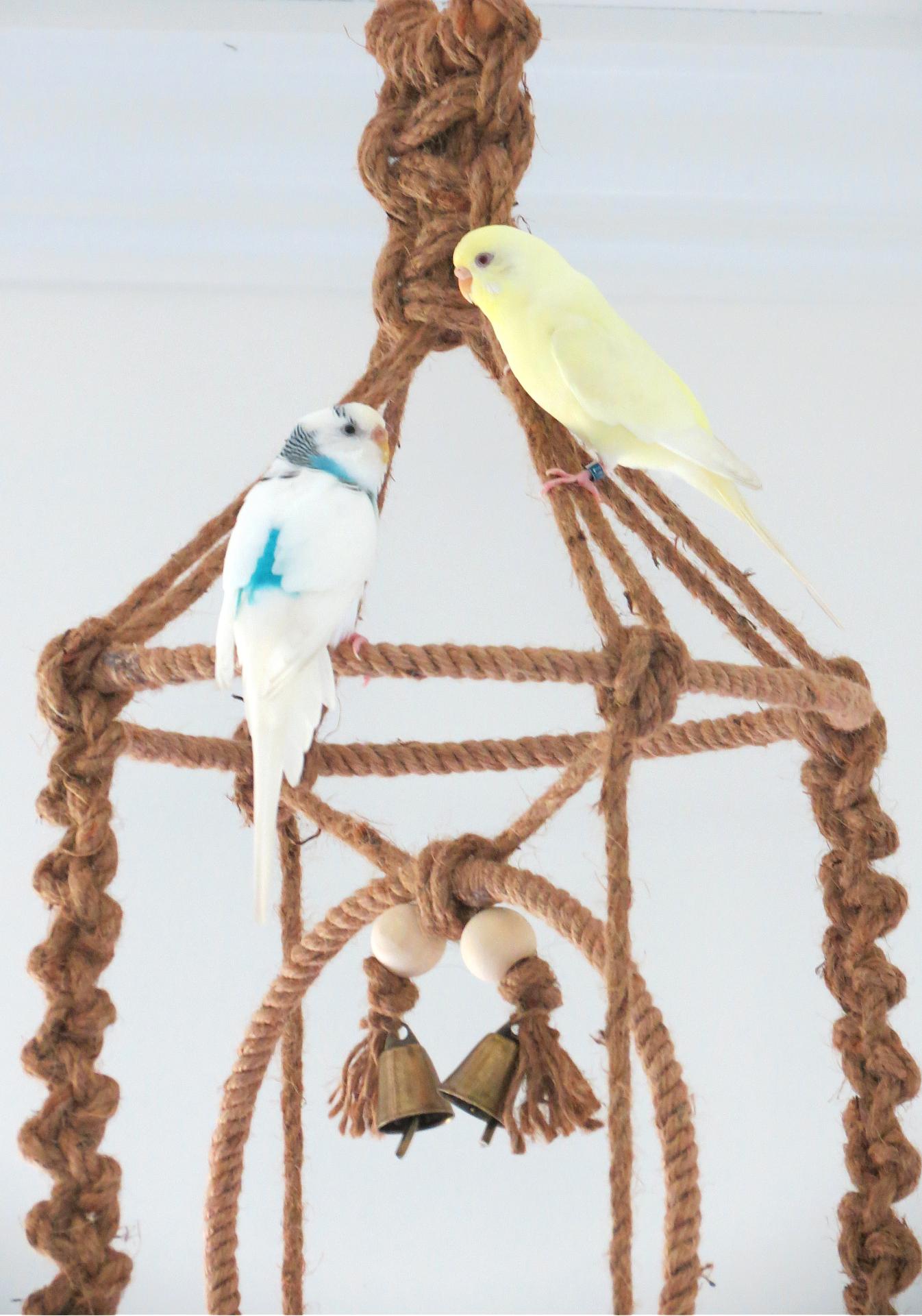 Macrame Bird Perch-01.jpg