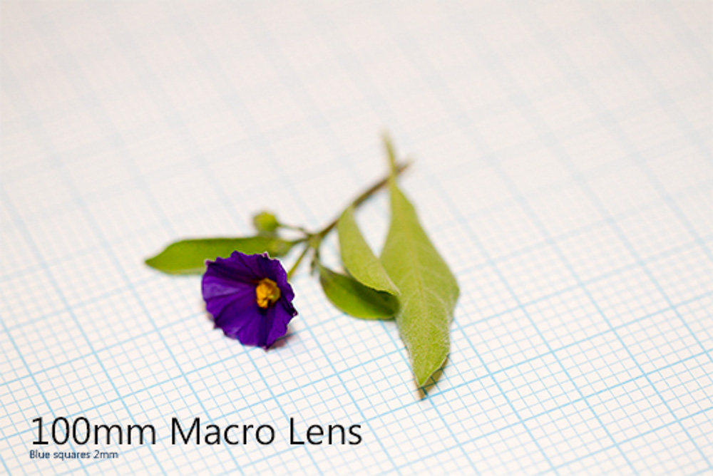 Macro100mm.jpg