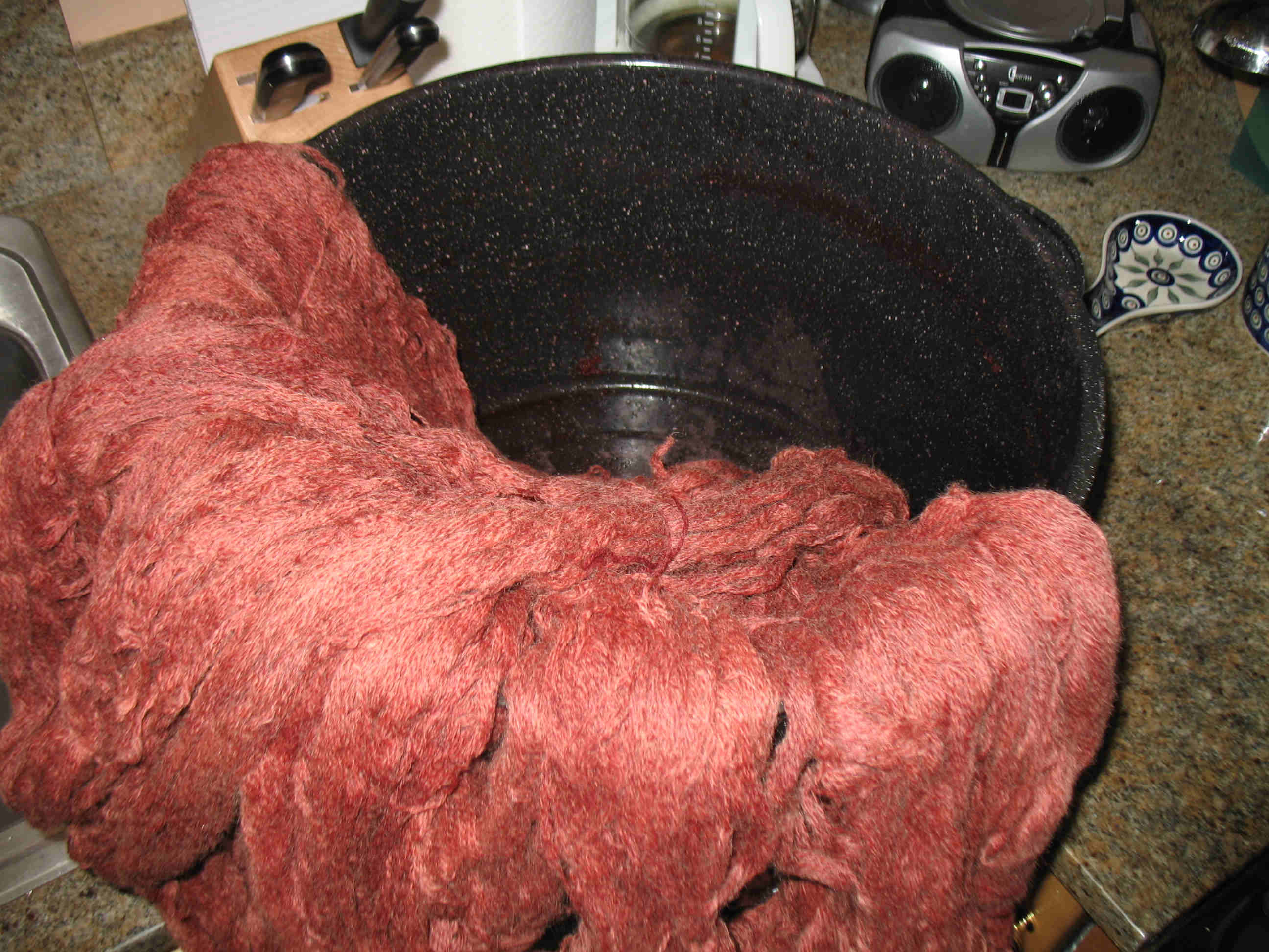 Madder Red Wool just out of Dye Pot.jpg