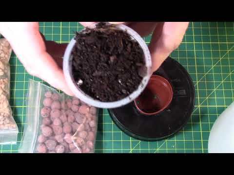 Maker Mindset: Kratky Method Hydroponics Tutorial