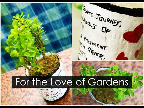 Making Personalized Theme pot for the Love of Gardens