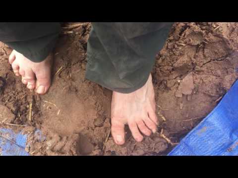 Making cob with my feet!