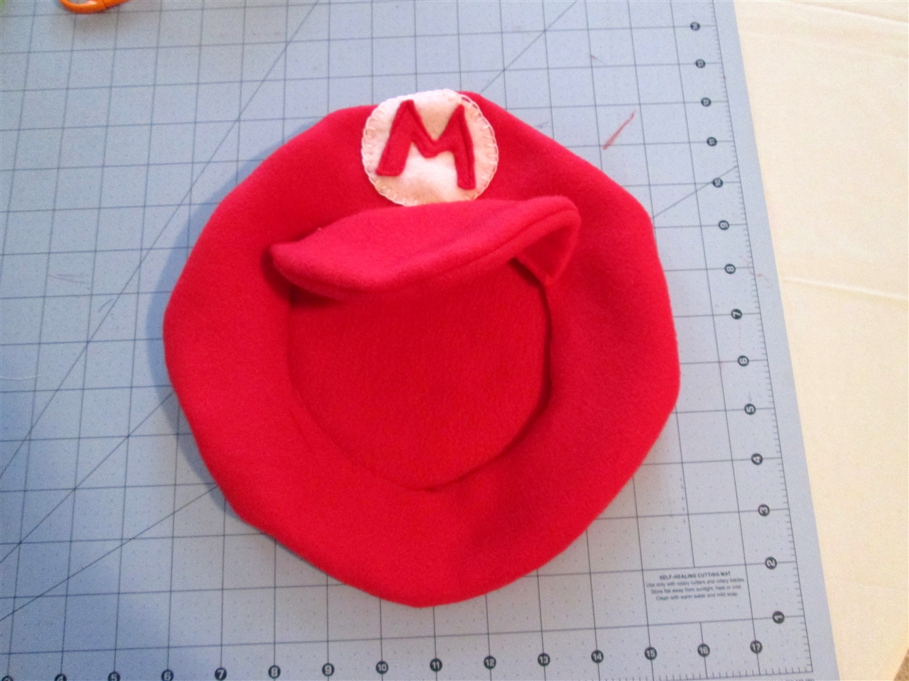 Mario Hat_0040.jpg