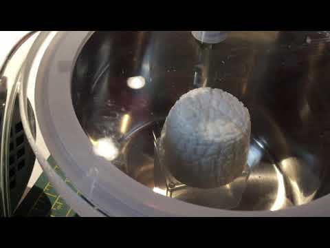 Marshmallopw vacuum chamber