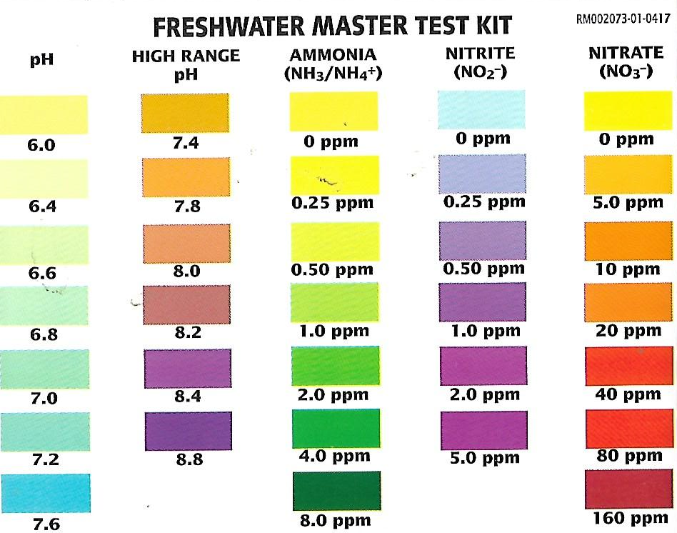 Master Test Kit.png