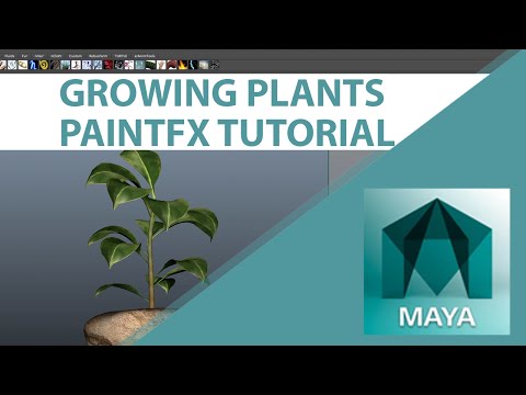 Maya Beginners Tutorial - Growing Plants Using PaintFX