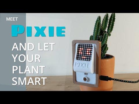 Meet: Pixie