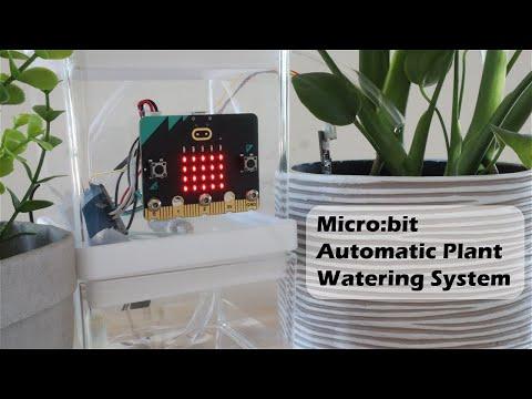 Micro:bit Automatic Plant Watering System