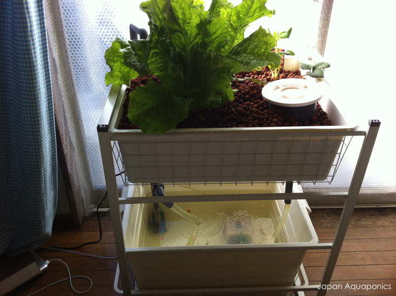 Micro Aquaponics Model 4 - 38.jpeg