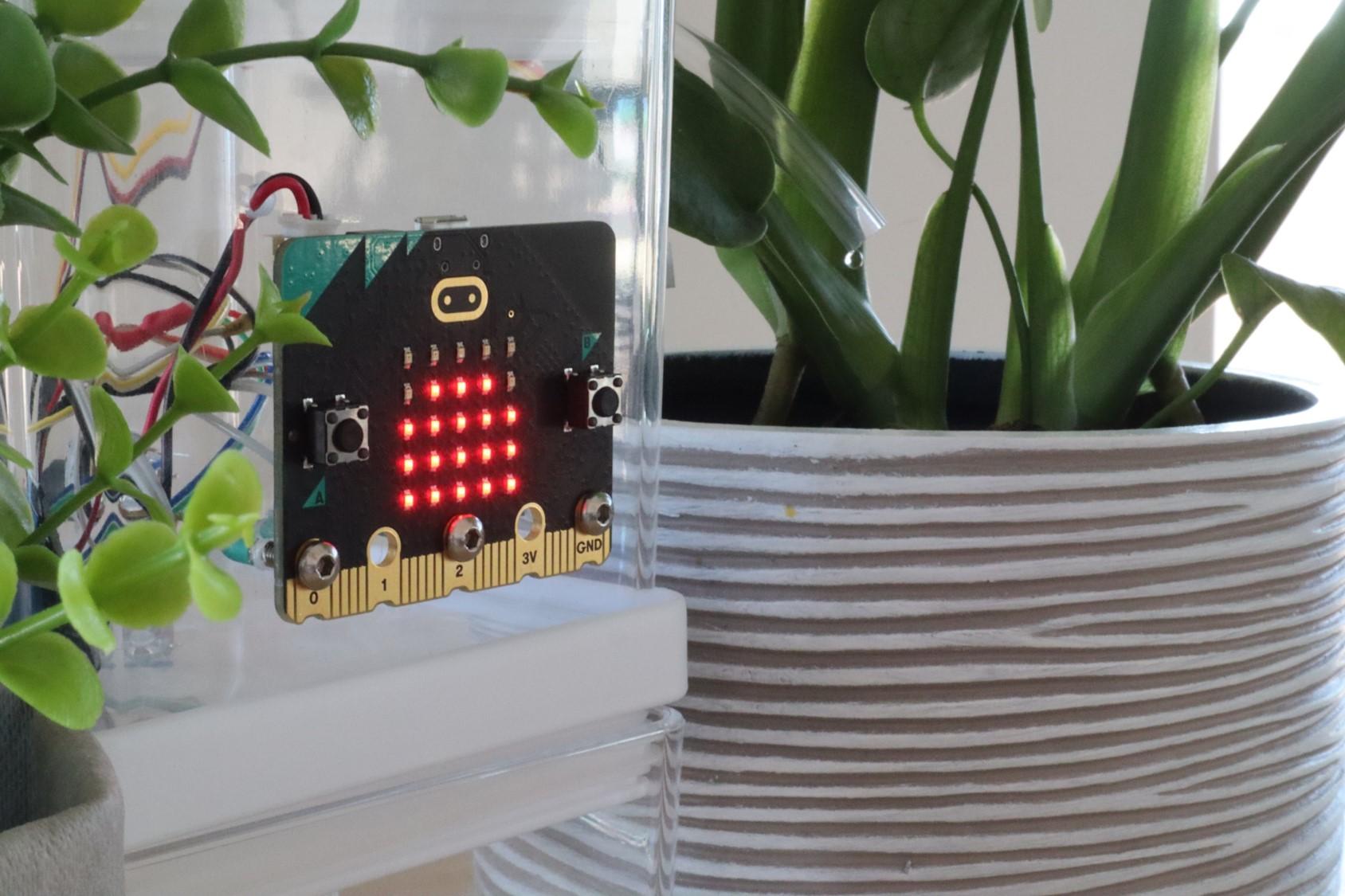 Microbit Looking After Plant.jpg