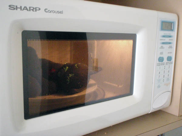 Microwave.jpg