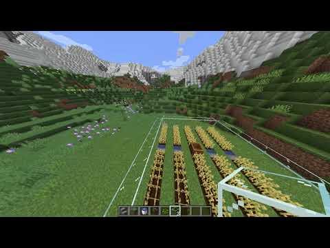 Minecraft Wheat Farm (2 of 4)