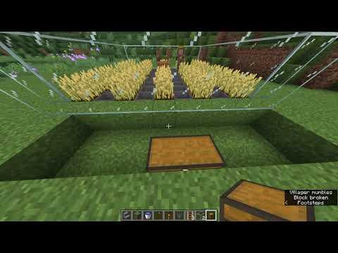 Minecraft Wheat Farm (4 of 4)