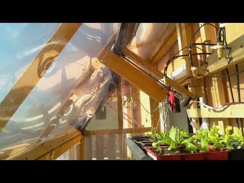 Mini Greenhouse time lapse - growing plants from seeds - automation