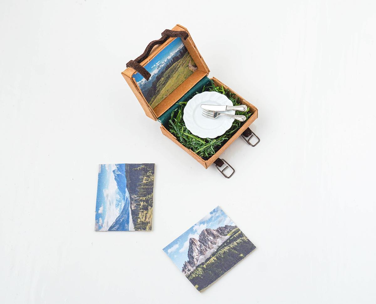 Mini Suitcase 8b.jpg