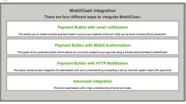 MobillCash_BackOffice_System_-_Home-20080205-013406.jpg