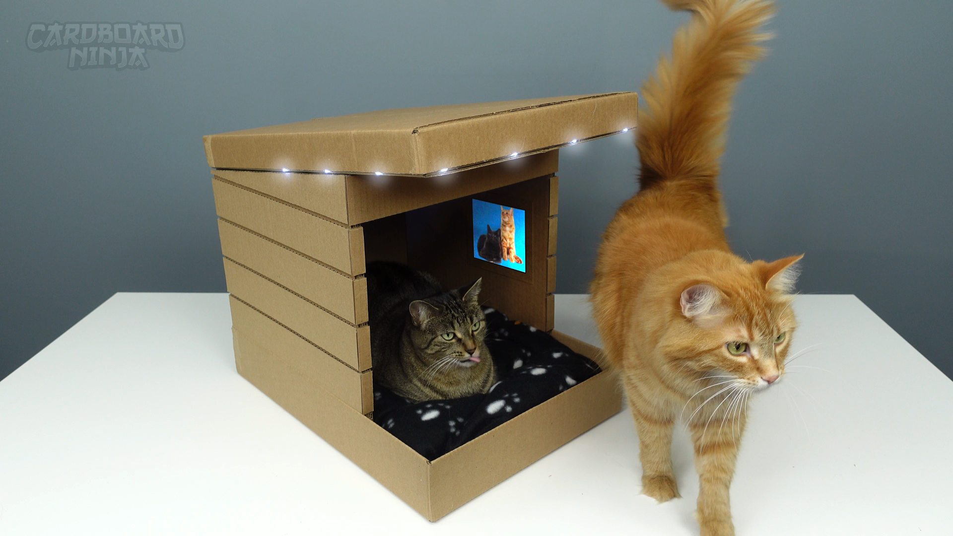 Modern_Cardboard_Cat_House_Thumbnail_Instructables.png