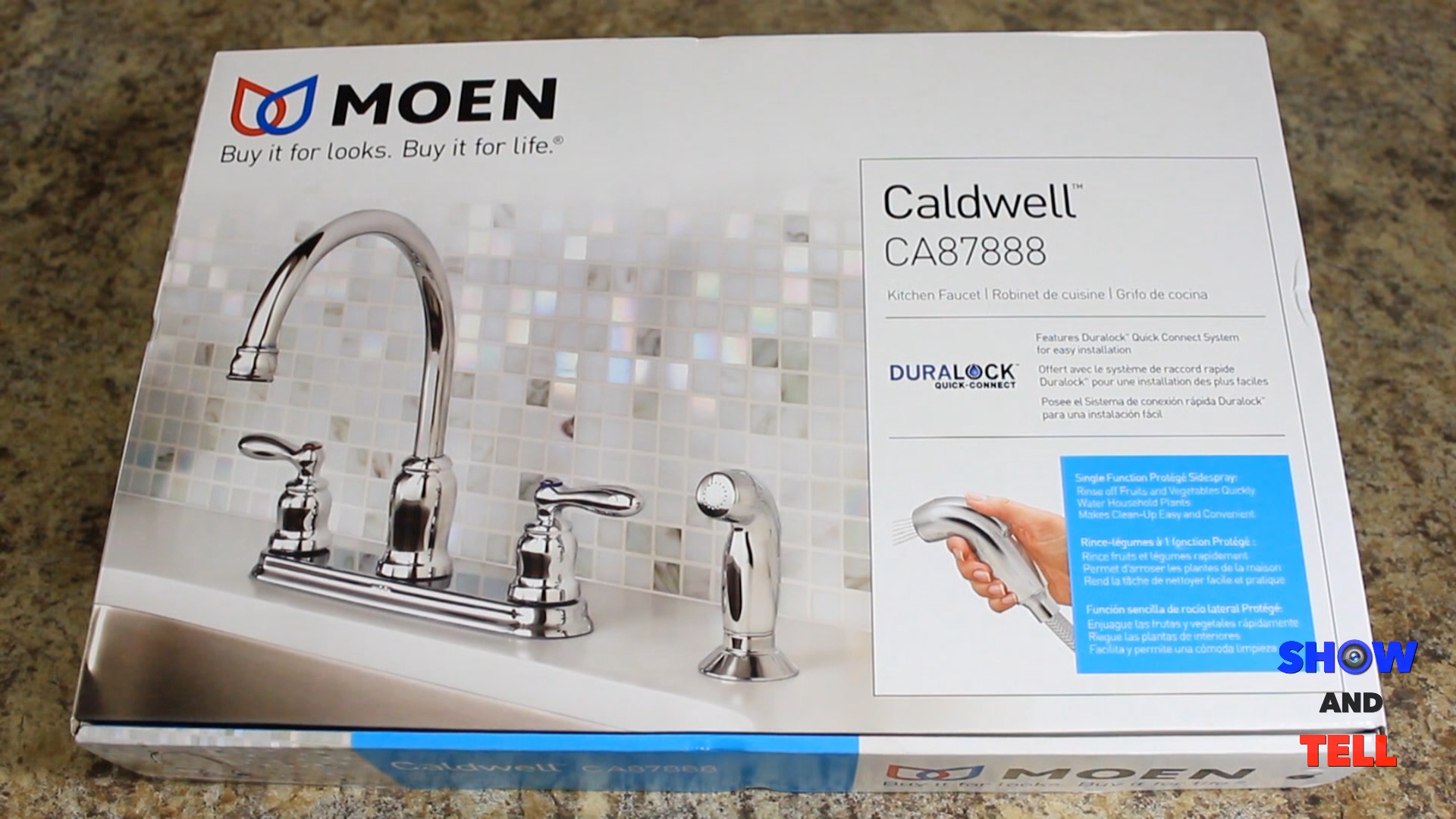 Moen Caldwell CA87888 Kitchen Sink.jpg