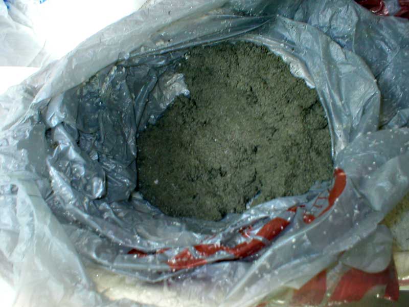 Mold2.jpg