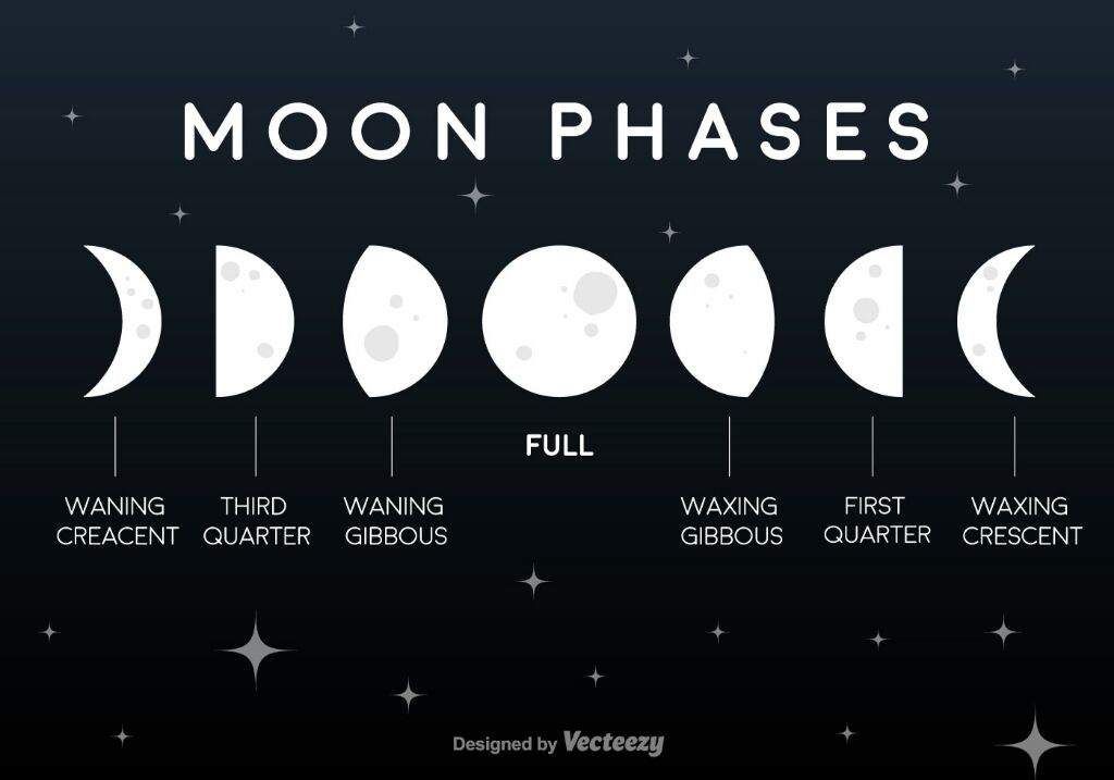 Moon Phases.jpg