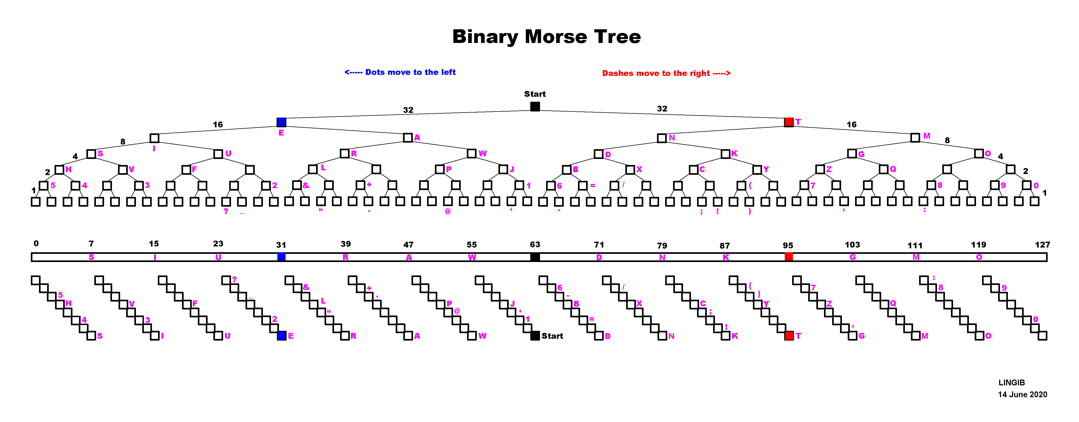 Morse Tree.jpg