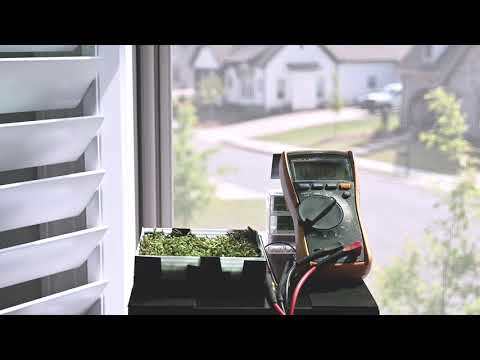 Moss Fuel Cell Charging in the Sunlight