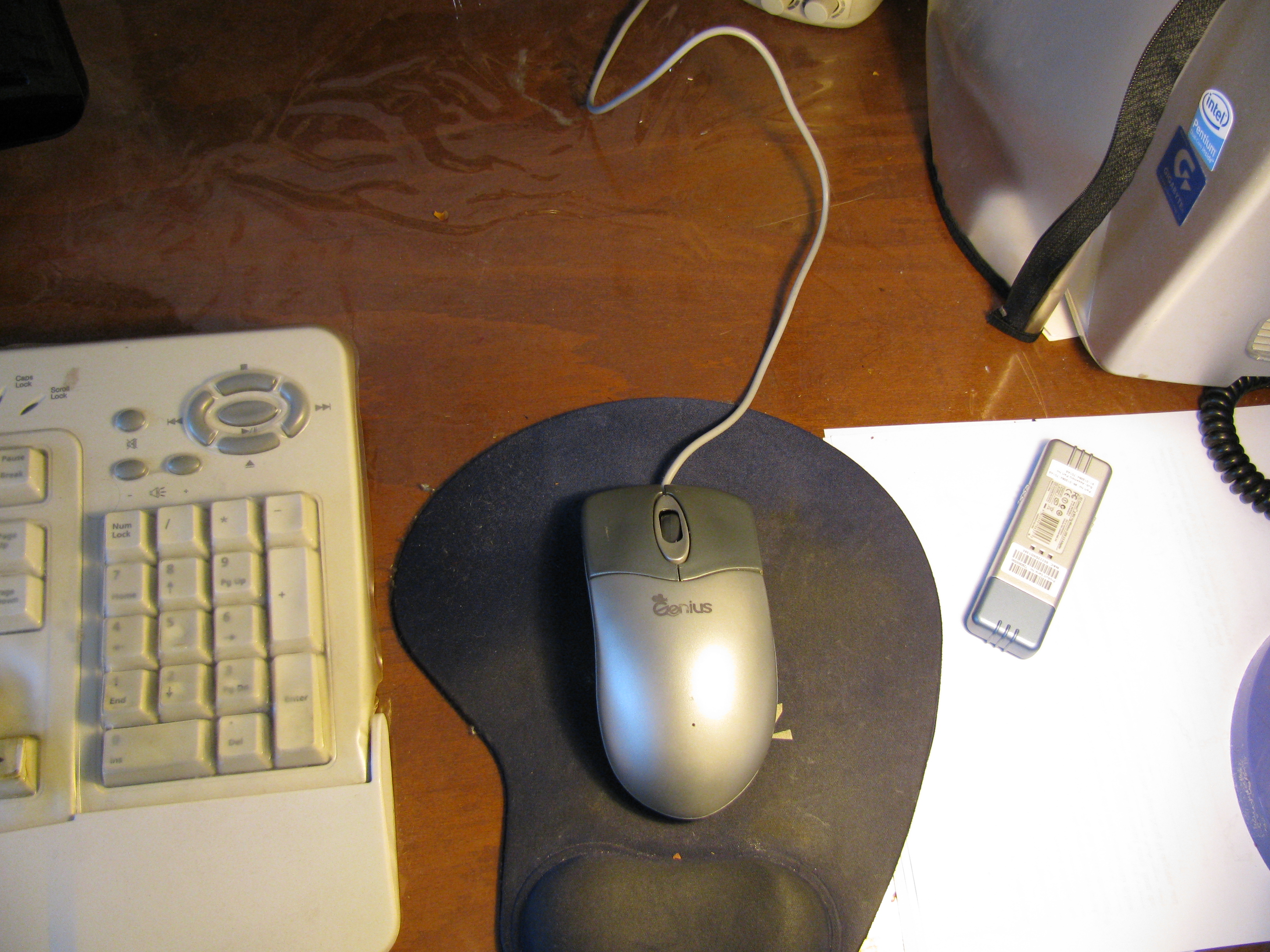 Mouse Ready to Action.JPG