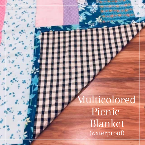 Multicolored Picnic Blanket (2).png