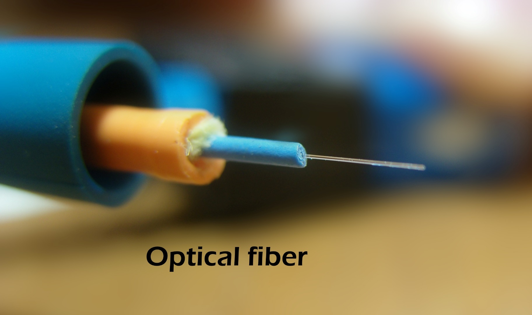 MultimodeFiber.JPG