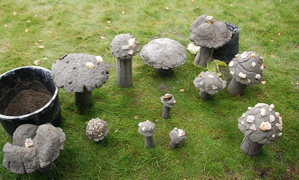 Mushrooms - 2.jpg