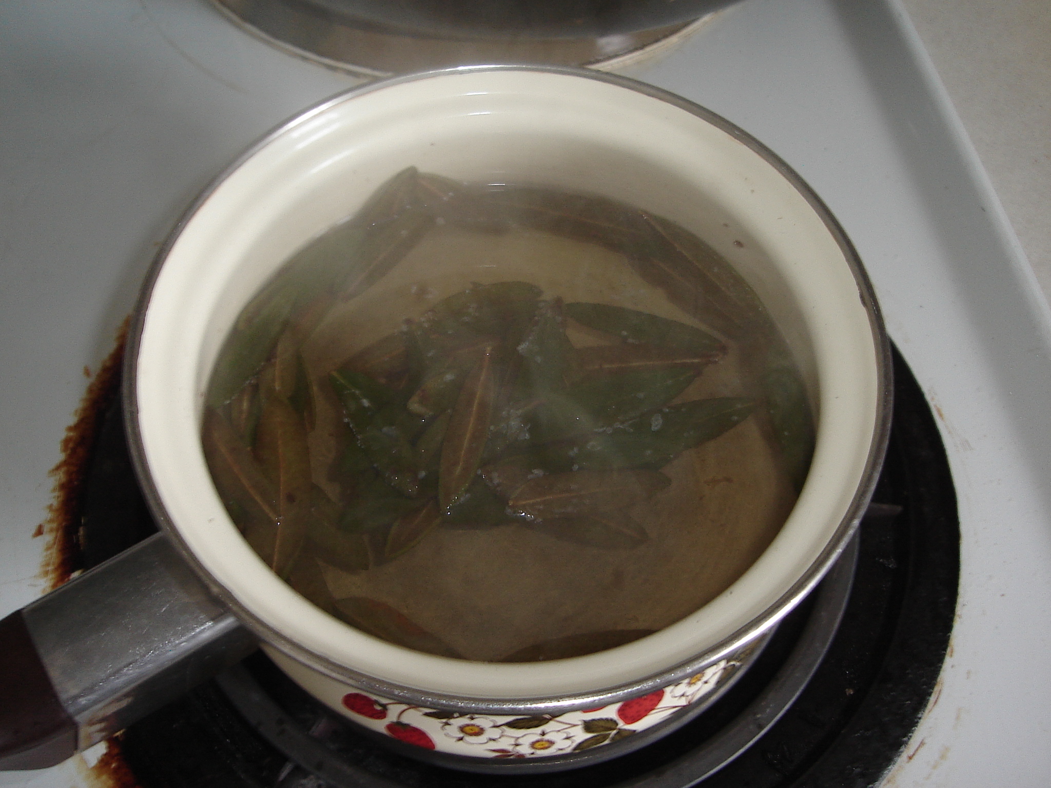 Muskeg Tea 006.jpg