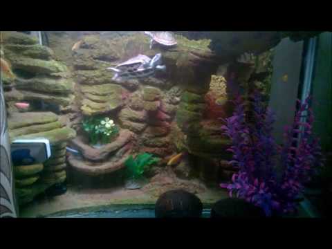 My Aquarium