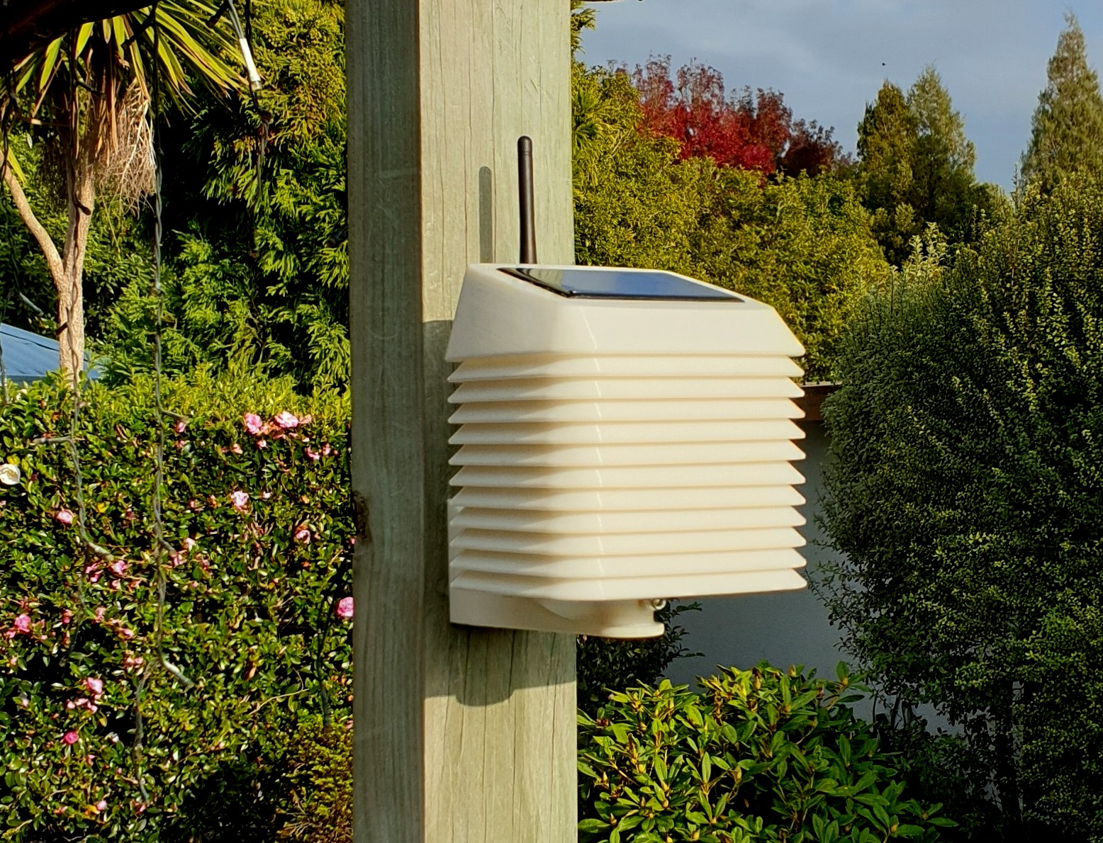 My Weather Station mounted_2.jpg