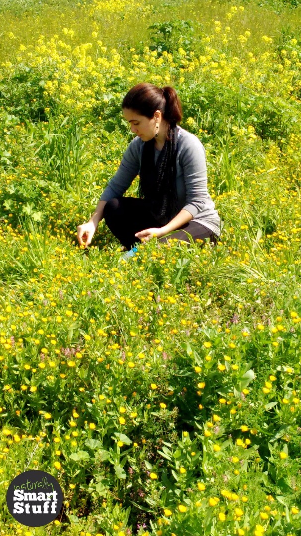 Nata picking calendulas.jpg