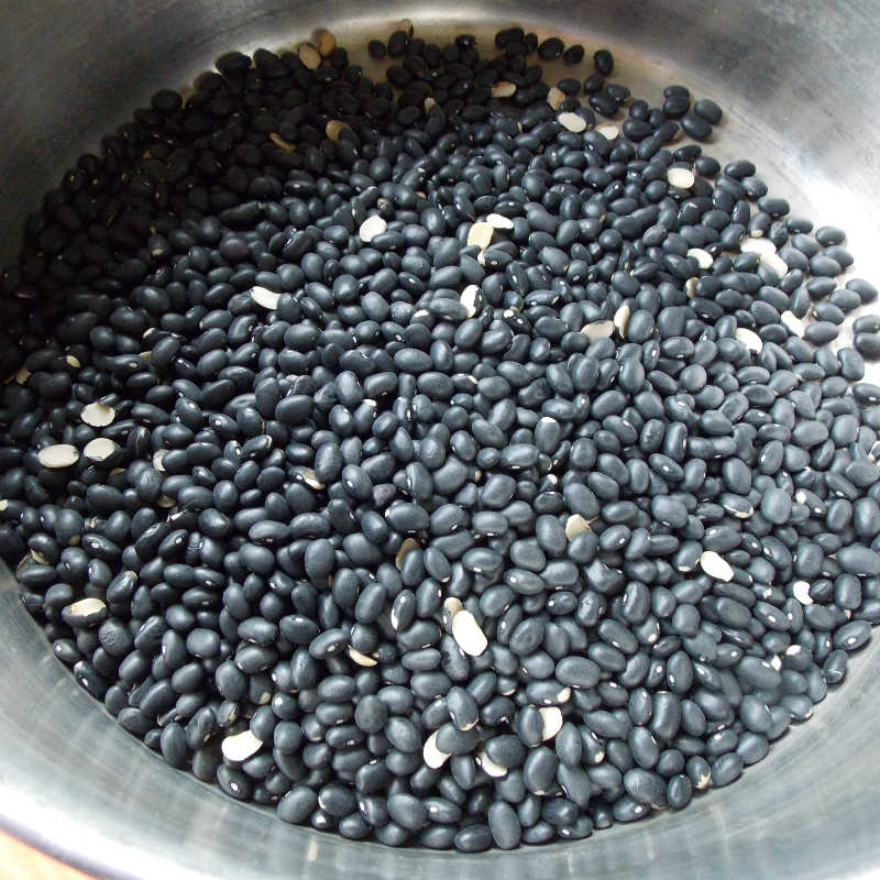 Natural Dyeing with Black Beans, soaking.jpg