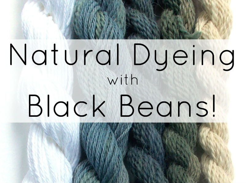 Natural Dyeing with Black Beans feat.jpg