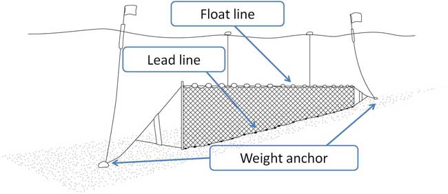 Net layout.jpg