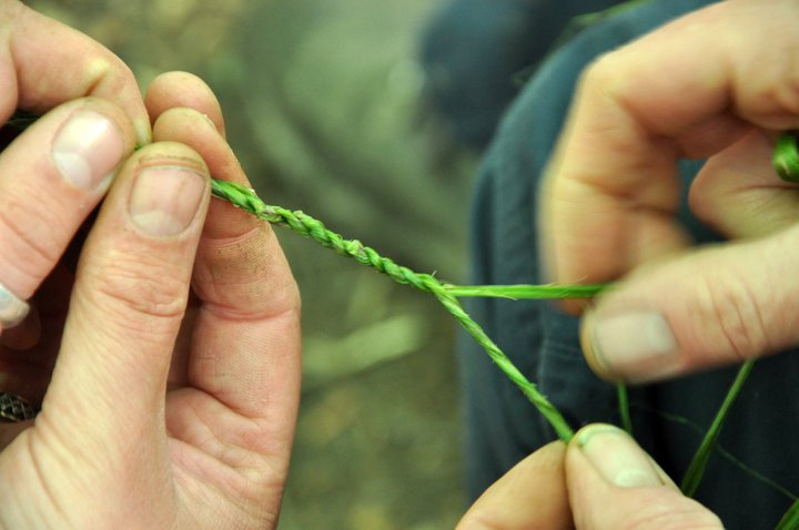 Nettle cordage fstm2011.jpg