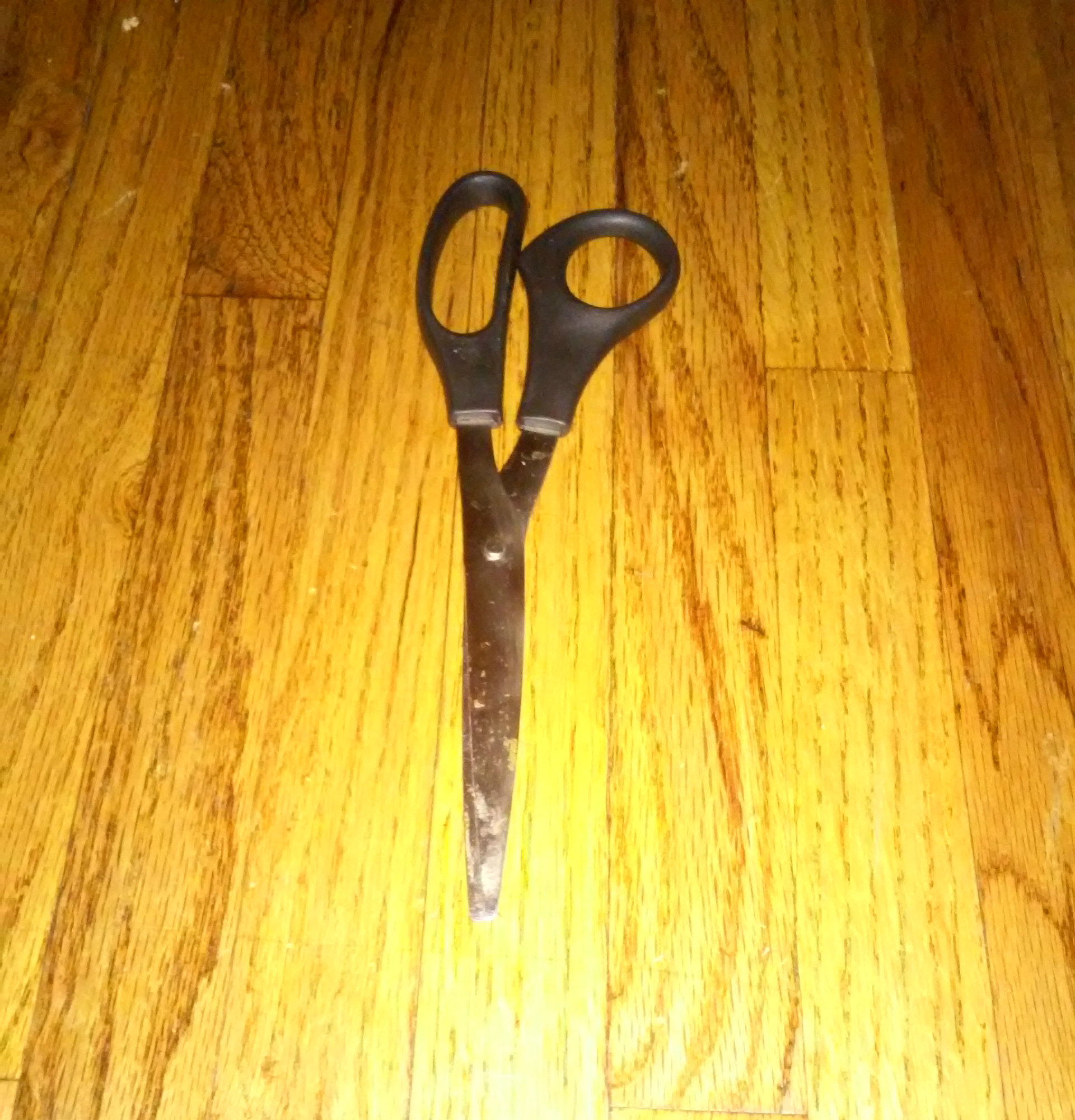 New Scissors.jpg